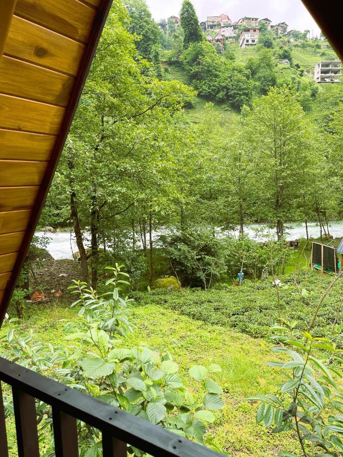 Tanura Bungalows Çamlıhemşin Exteriör bild